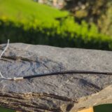 TBS CROSSFIRE MICRO RX ANTENNE
